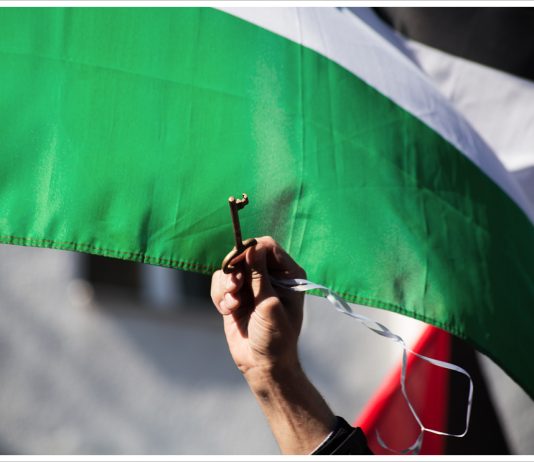 PAME: Solidarity with the heroic people of Palestine