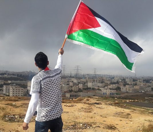 Stop the genocide. Cease fire now, Free Palestine