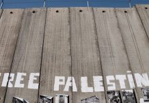 Joint Call of Transport Trade Unions Greece-Italy-Turkey. STOP the massacre in Palestine! STOP the Transport of Death!