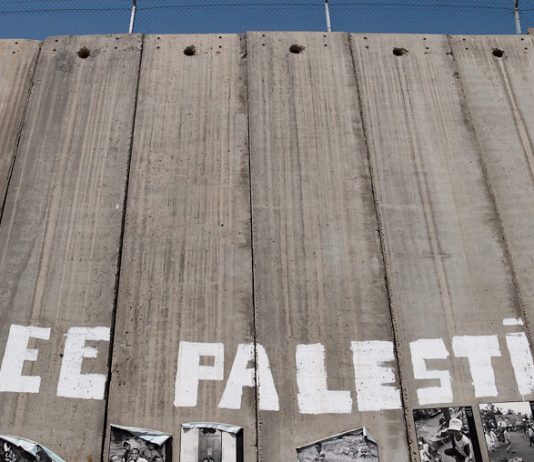 Joint Call of Transport Trade Unions Greece-Italy-Turkey. STOP the massacre in Palestine! STOP the Transport of Death!