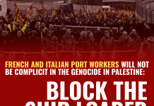 FRENCH AND ITALIAN PORT WORKERS WILL NOT BE COMPLICIT IN THE GENOCIDE IN PALESTINE: BLOCK THE SHIP LOADED WITH WEAPONS FOR ISRAEL!