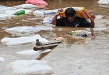 Eurof: Solidarity with Nepal